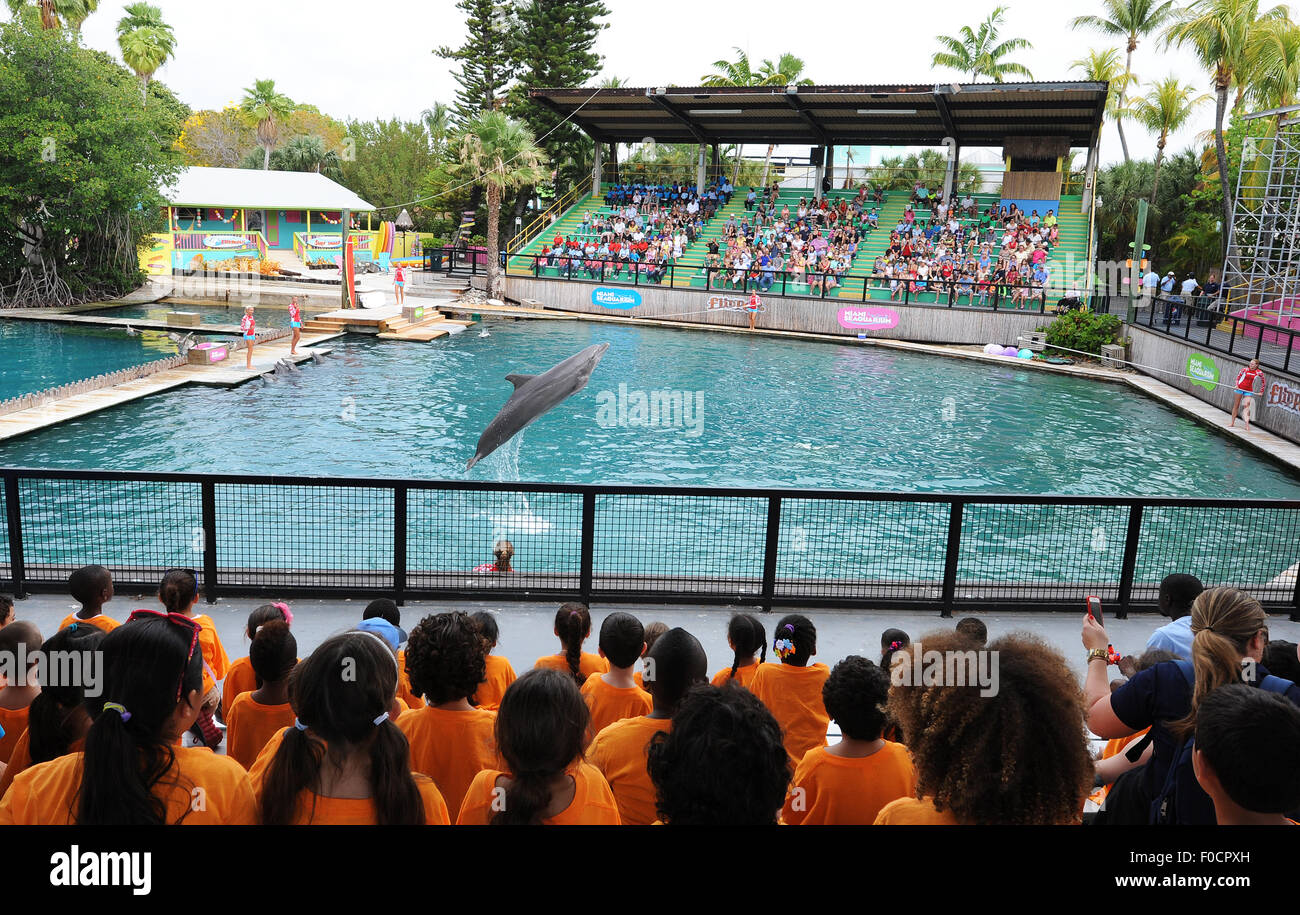 26 mars 2015 - Key Biscayne, Floride, États-Unis - les gens regardent un dauphin effectuer au Miami Seaquarium. Banque D'Images