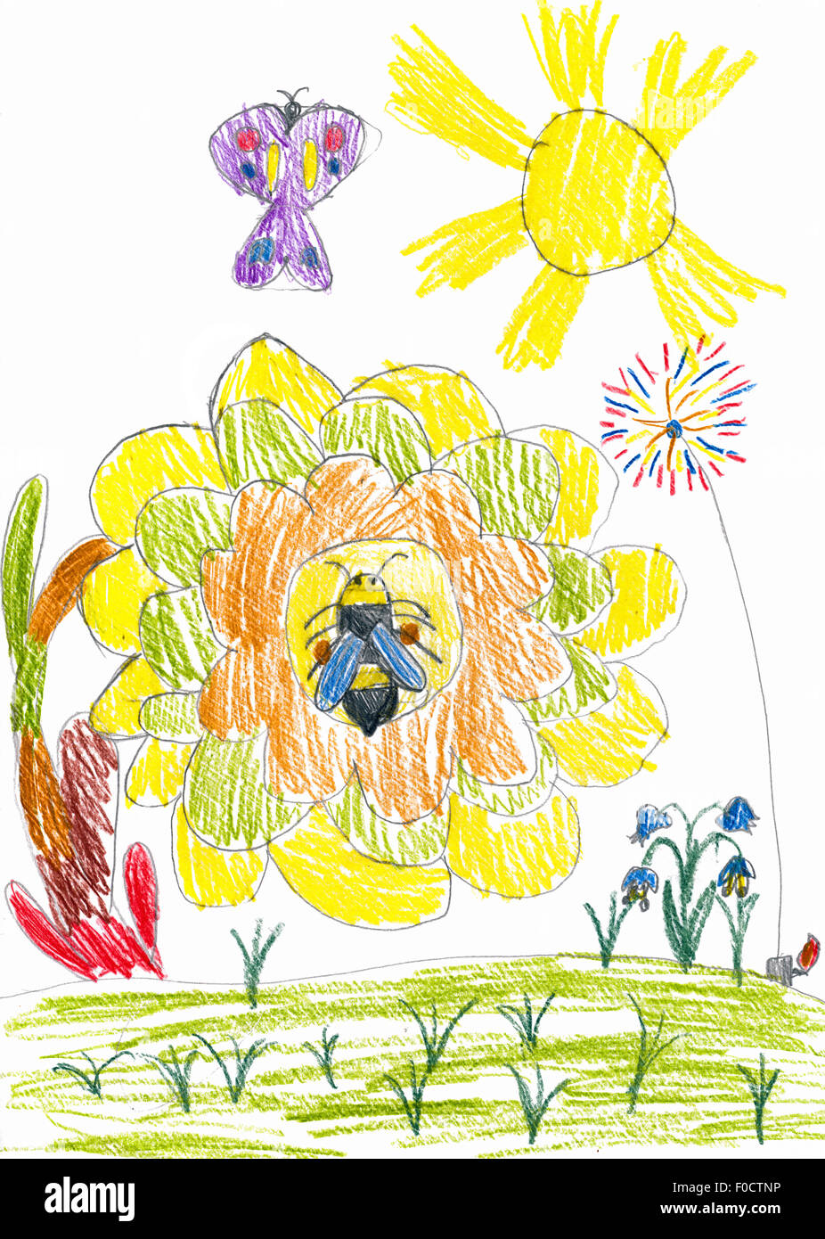 Abeille sur tournesol et papillon. dessin enfant Banque D'Images