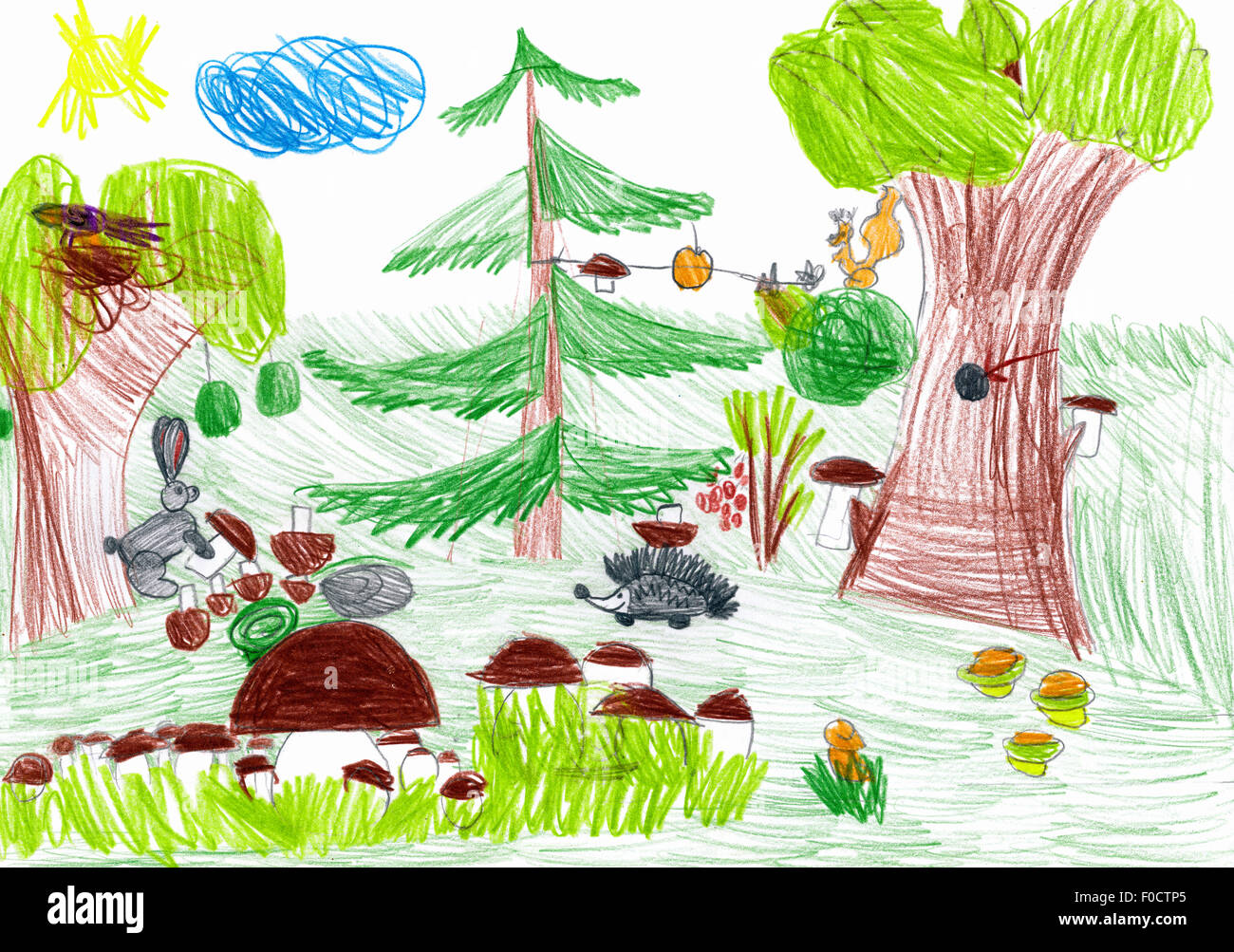 La forêt et les animaux sauvages. dessin enfant Banque D'Images