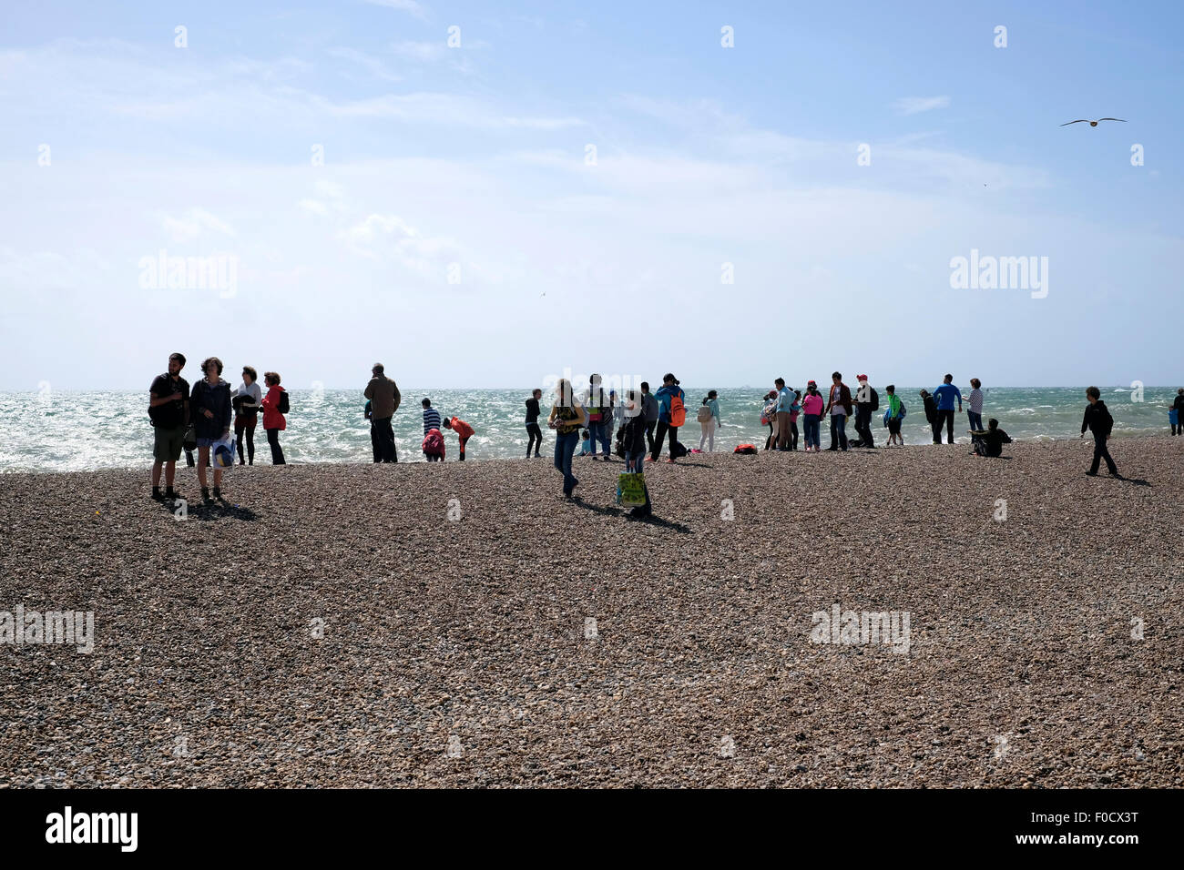 Un groupe de personnes debout sur une plage Banque D'Images