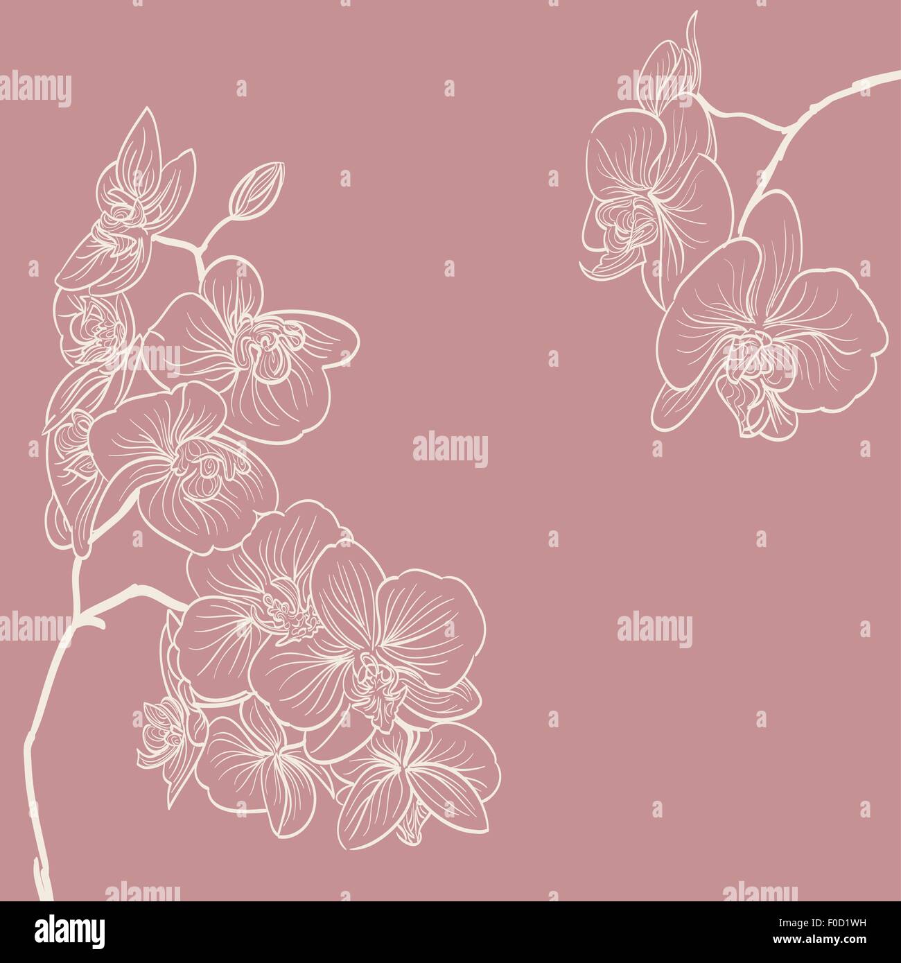 Fleurs d'orchidées d'arrière-plan de l'illustration Illustration de Vecteur