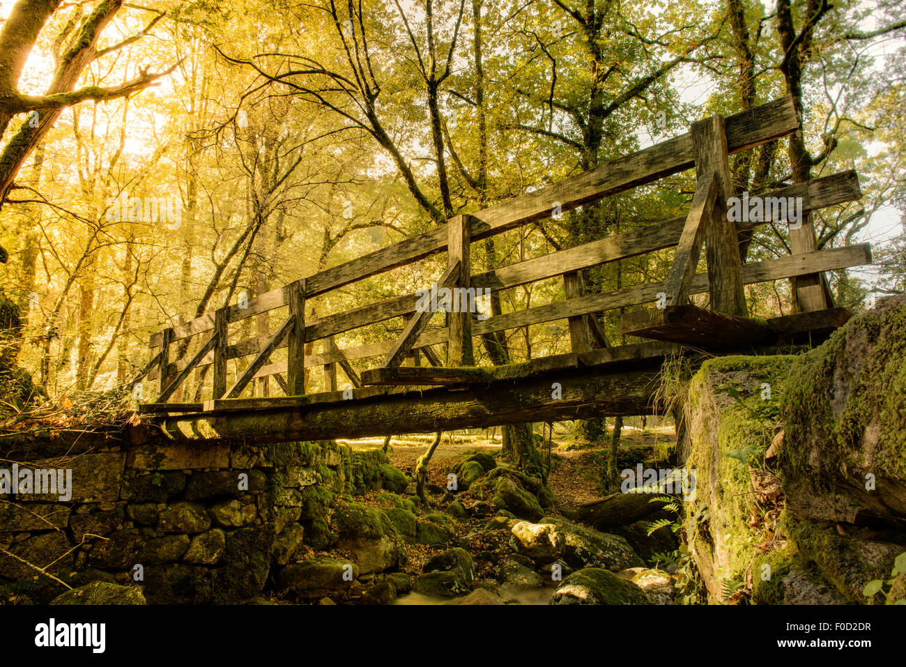 Pont de bois dans le Parc National de Gerês, Portugal Banque D'Images