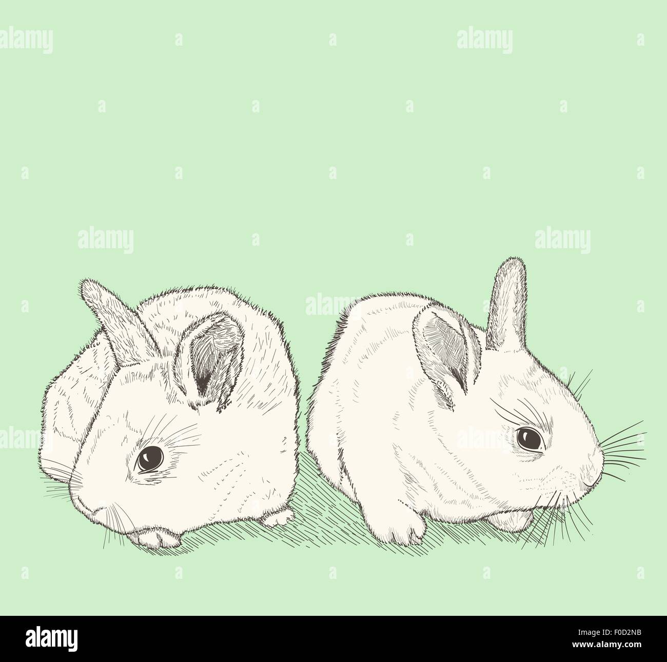 Deux lapins dimensions Illustration de Vecteur