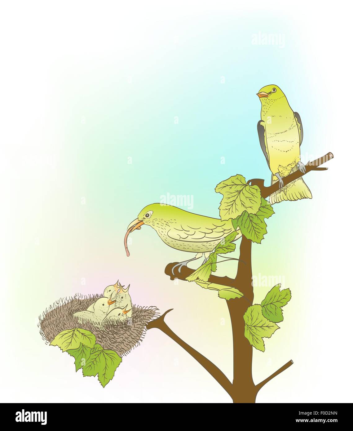 Peu d'oiseaux à la main verte nourrir leurs petits dans le nid Illustration de Vecteur