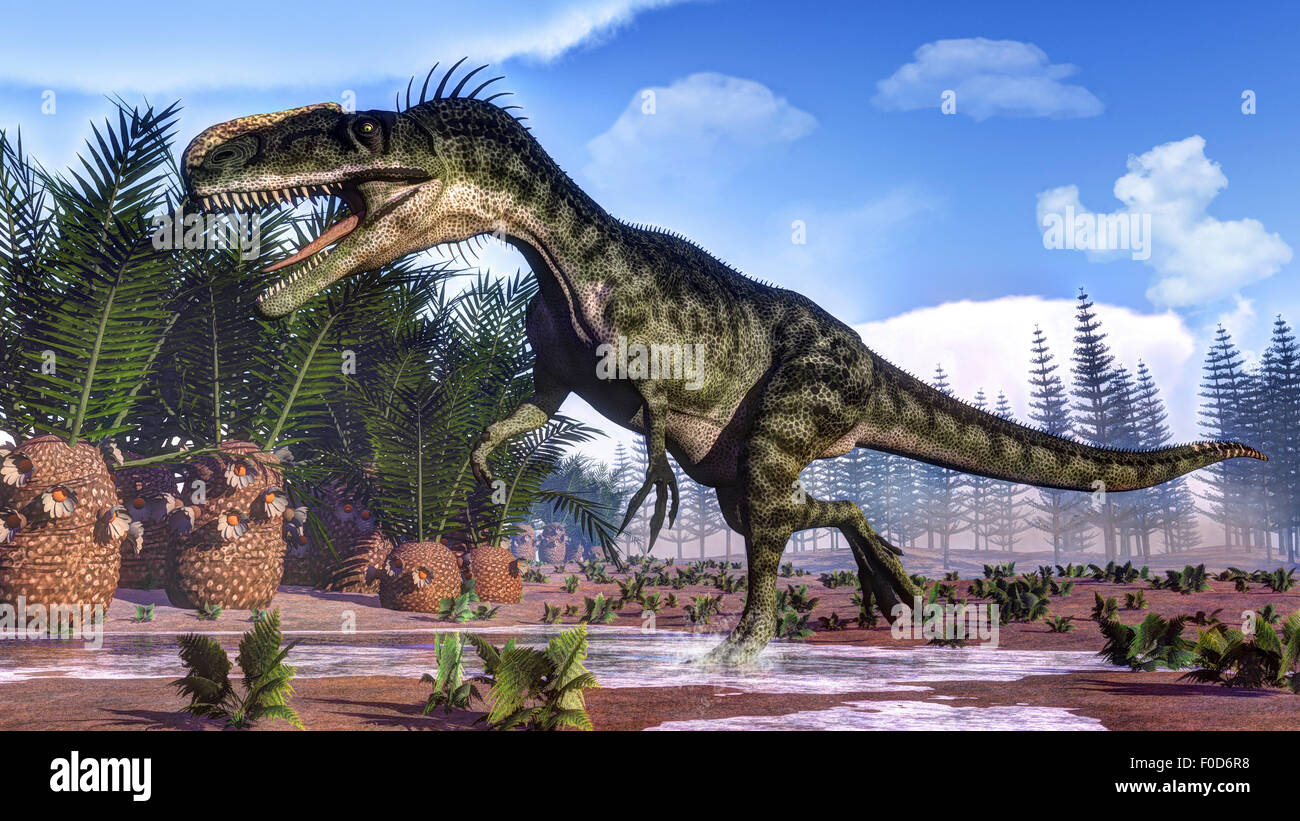 Un dinosaure Monolophosaurus marche chez les cycas et calamites. Banque D'Images