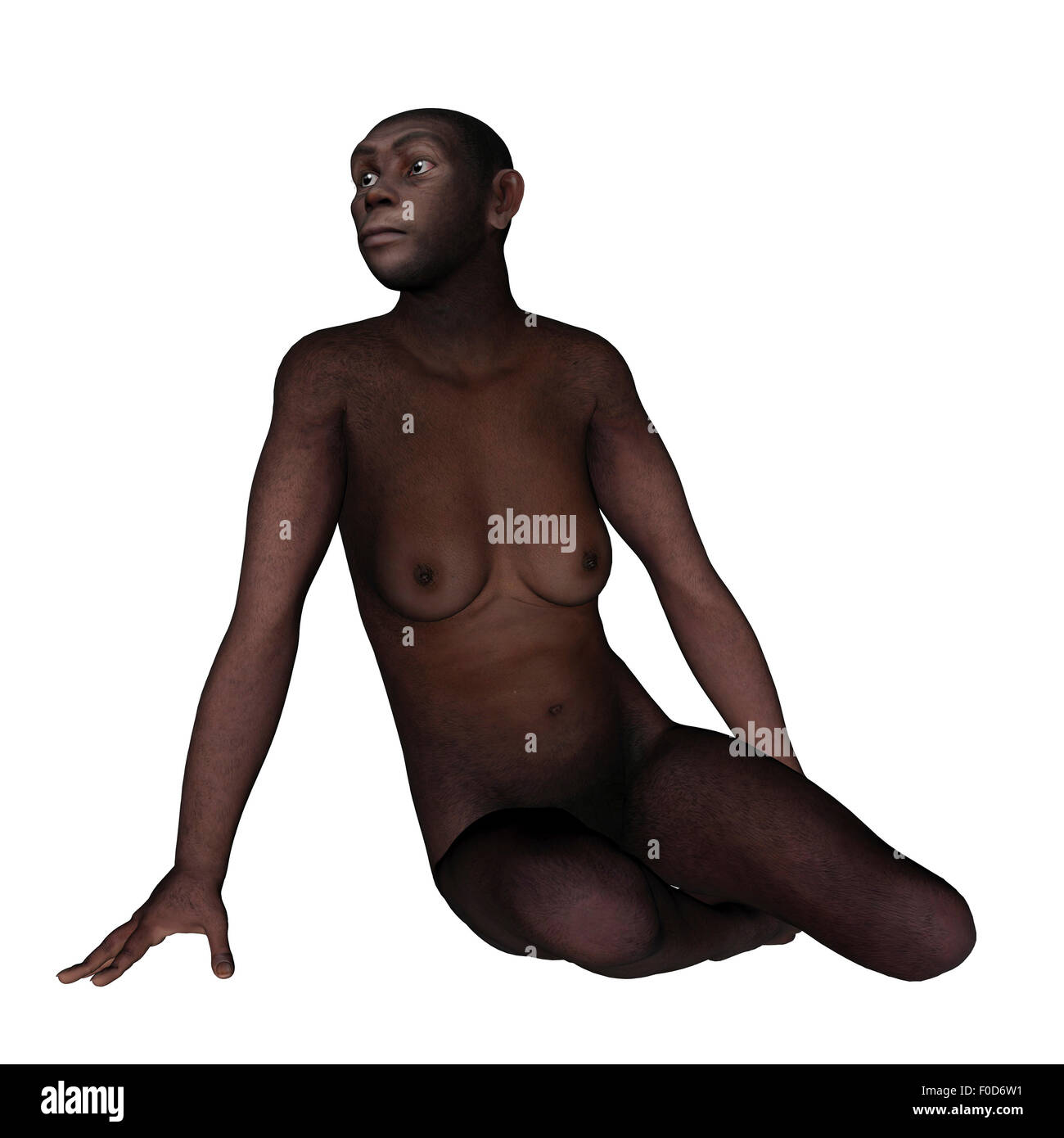 L'homo erectus féminin assis, fond blanc. Banque D'Images