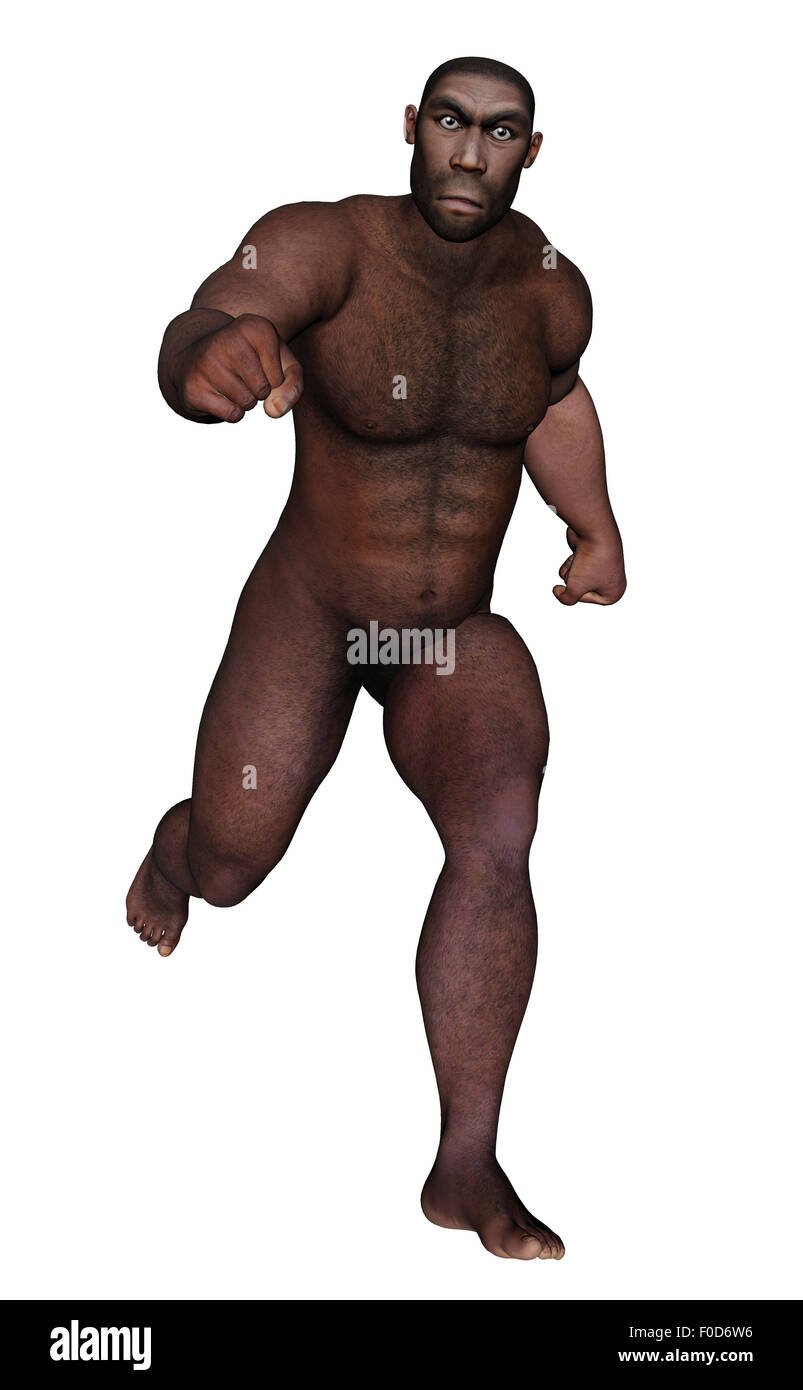 L'homo erectus mâle tournant, fond blanc. Banque D'Images