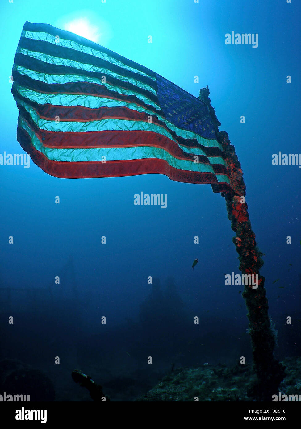 Drapeau américain sur un navire coulé à Key Largo, Floride. Banque D'Images