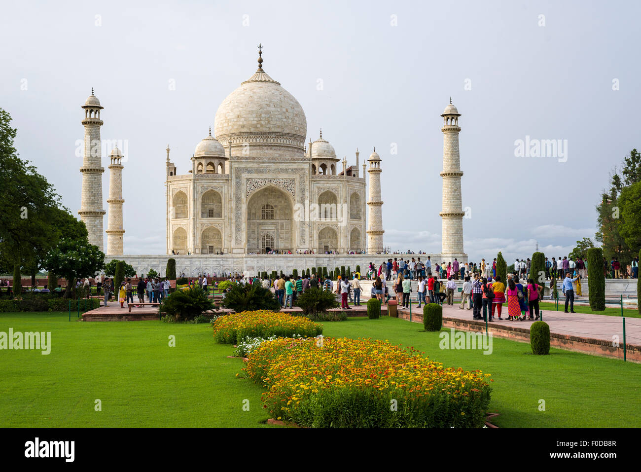 Taj Mahal après une douche à effet pluie, Agra, Uttar Pradesh, Inde Banque D'Images