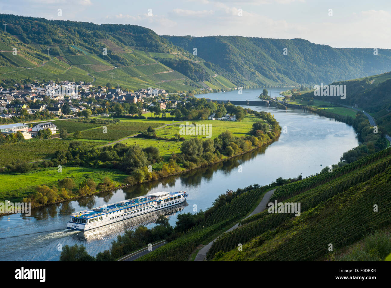 Bateau de croisière sur la Moselle, près de Piesport, vallée de la Moselle, Rhénanie-Palatinat, Allemagne Banque D'Images