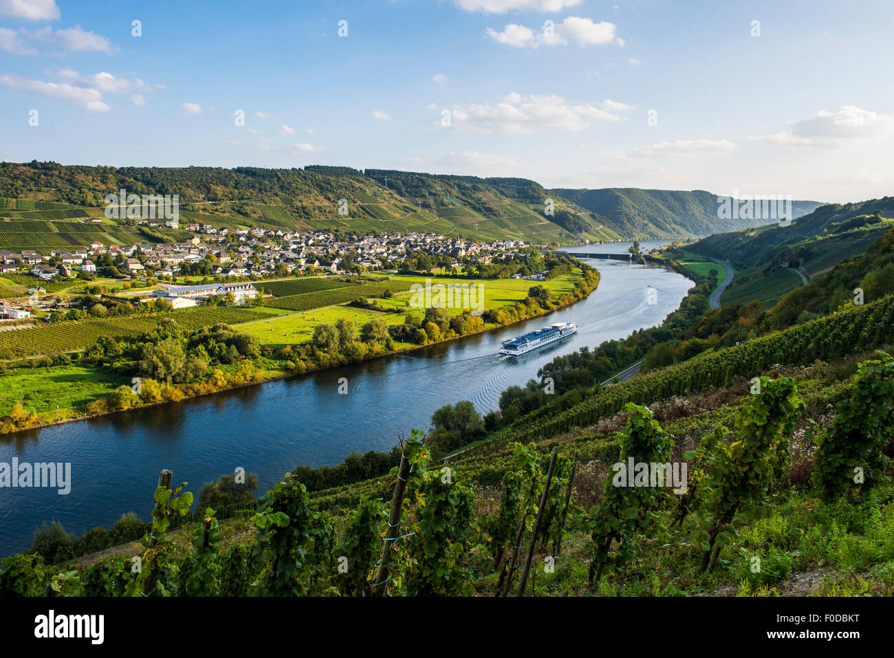 Bateau de croisière sur la Moselle, près de Piesport, vallée de la Moselle, Rhénanie-Palatinat, Allemagne Banque D'Images