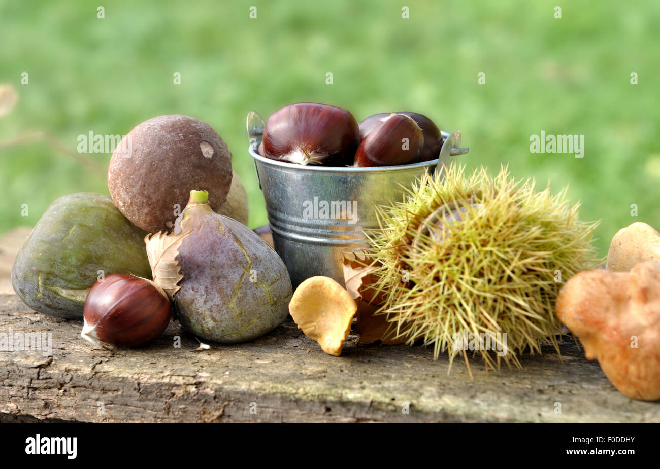 Figues Châtaignes et champignons sur old plank Banque D'Images