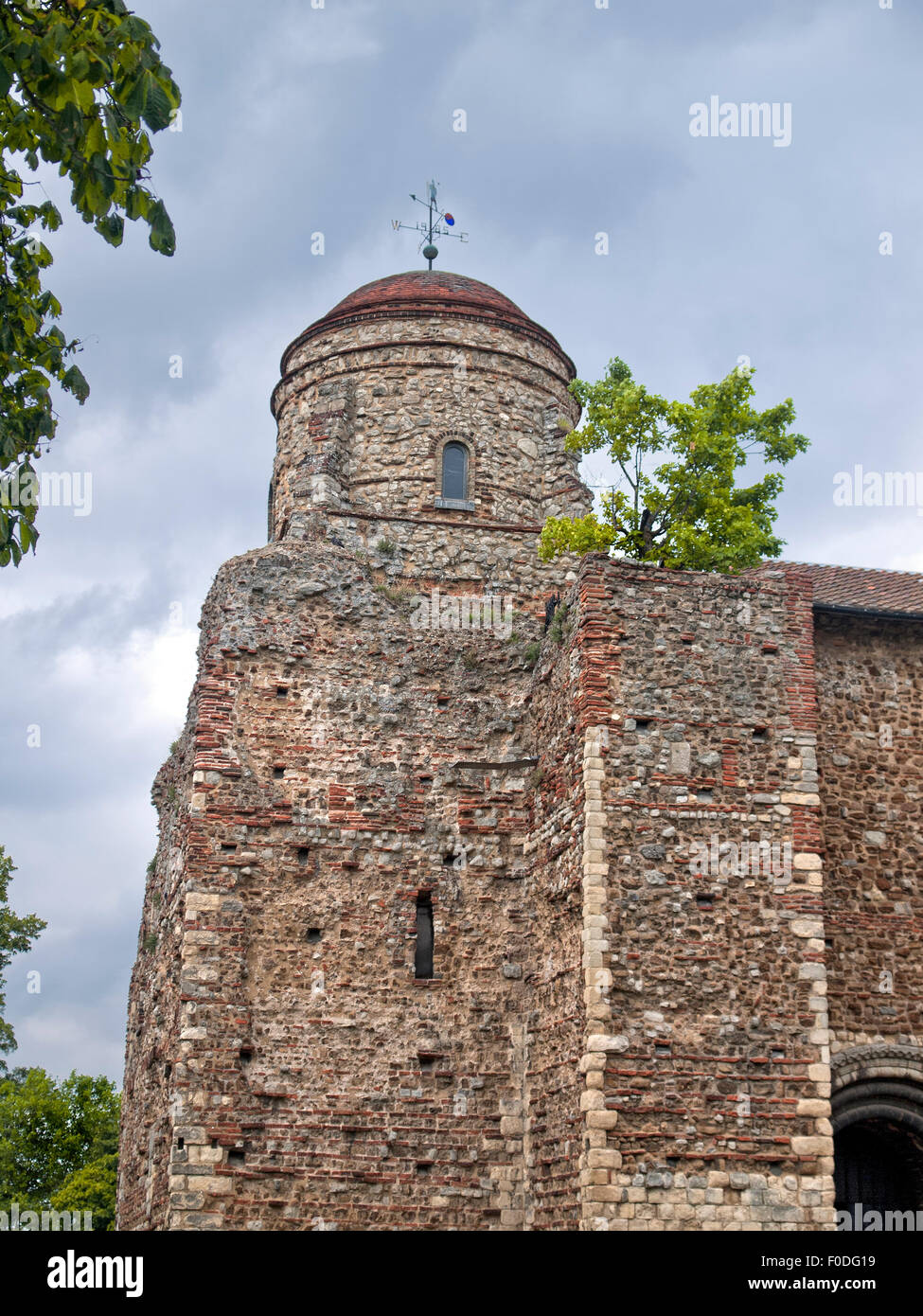 Tour du château de Colchester. Colchester. L'Essex. L'Angleterre. UK. Banque D'Images