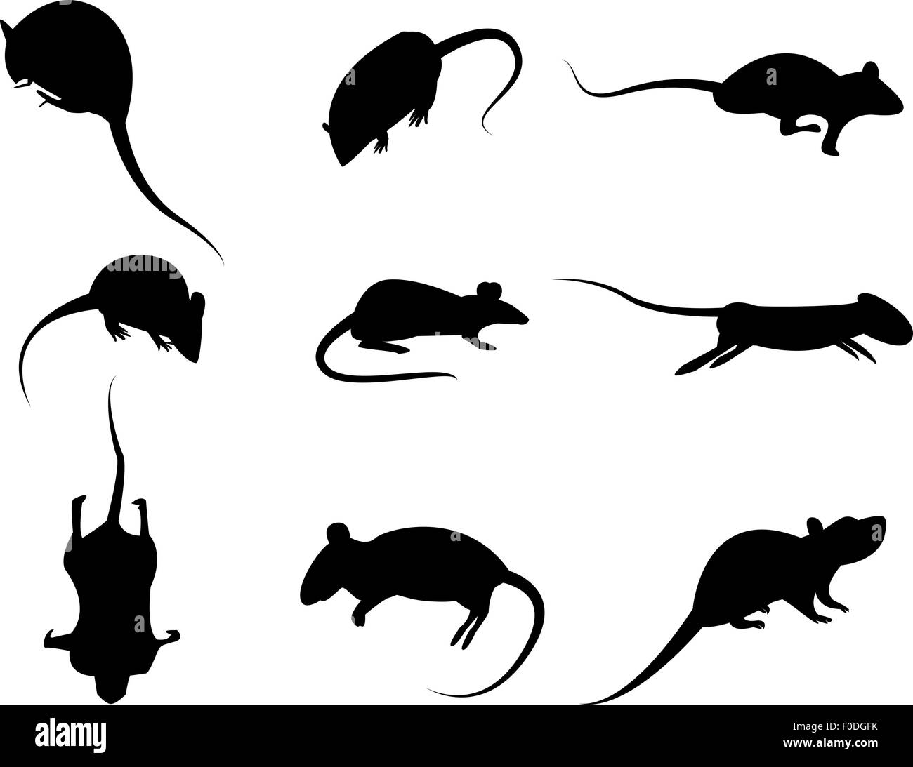 Ensemble de silhouette noire icône rat, vecteur isolé sur fond blanc Illustration de Vecteur