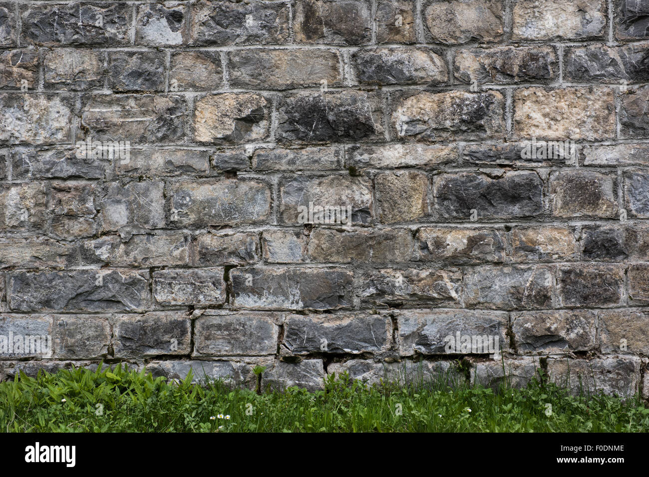 La texture du mur de pierre brute et de l'herbe bien verte, personnalisable, adapté à l'utilisation d'arrière-plan. Banque D'Images