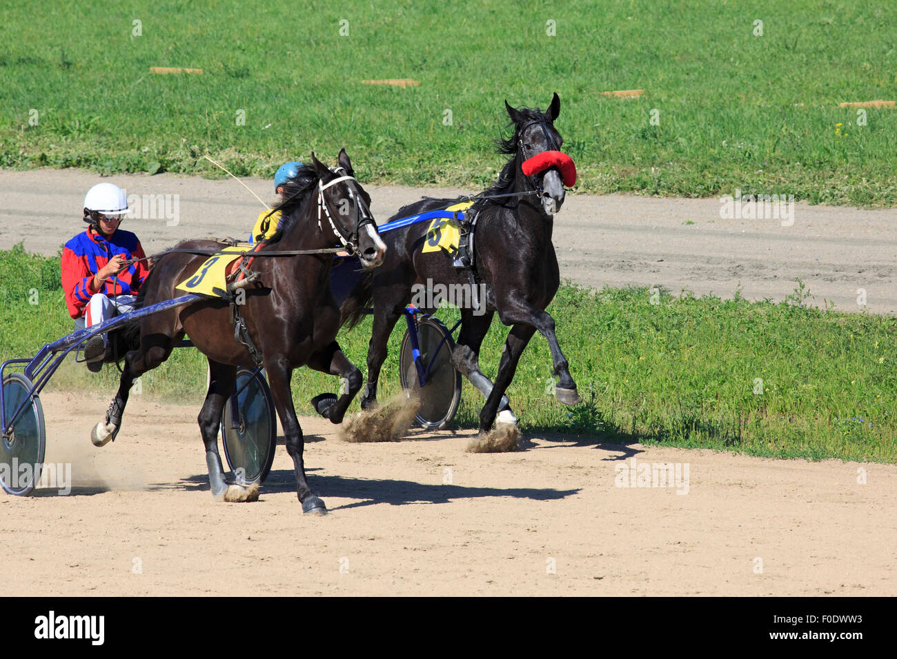 Courses hippiques à l'Hippodrome Sibirskoe podvorie Banque D'Images
