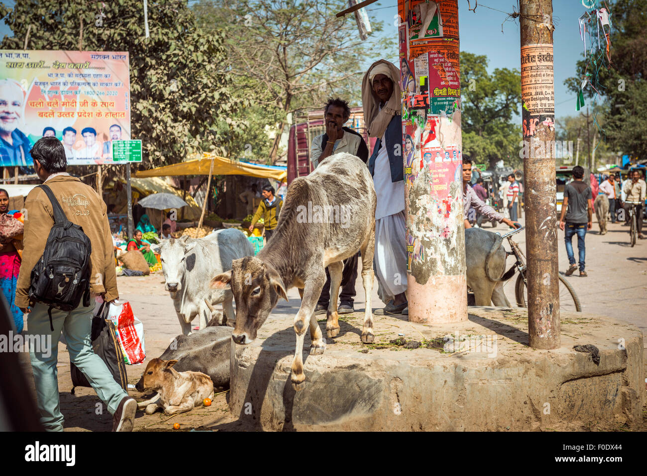 La vie quotidienne dans une petite ville de l'Inde Banque D'Images