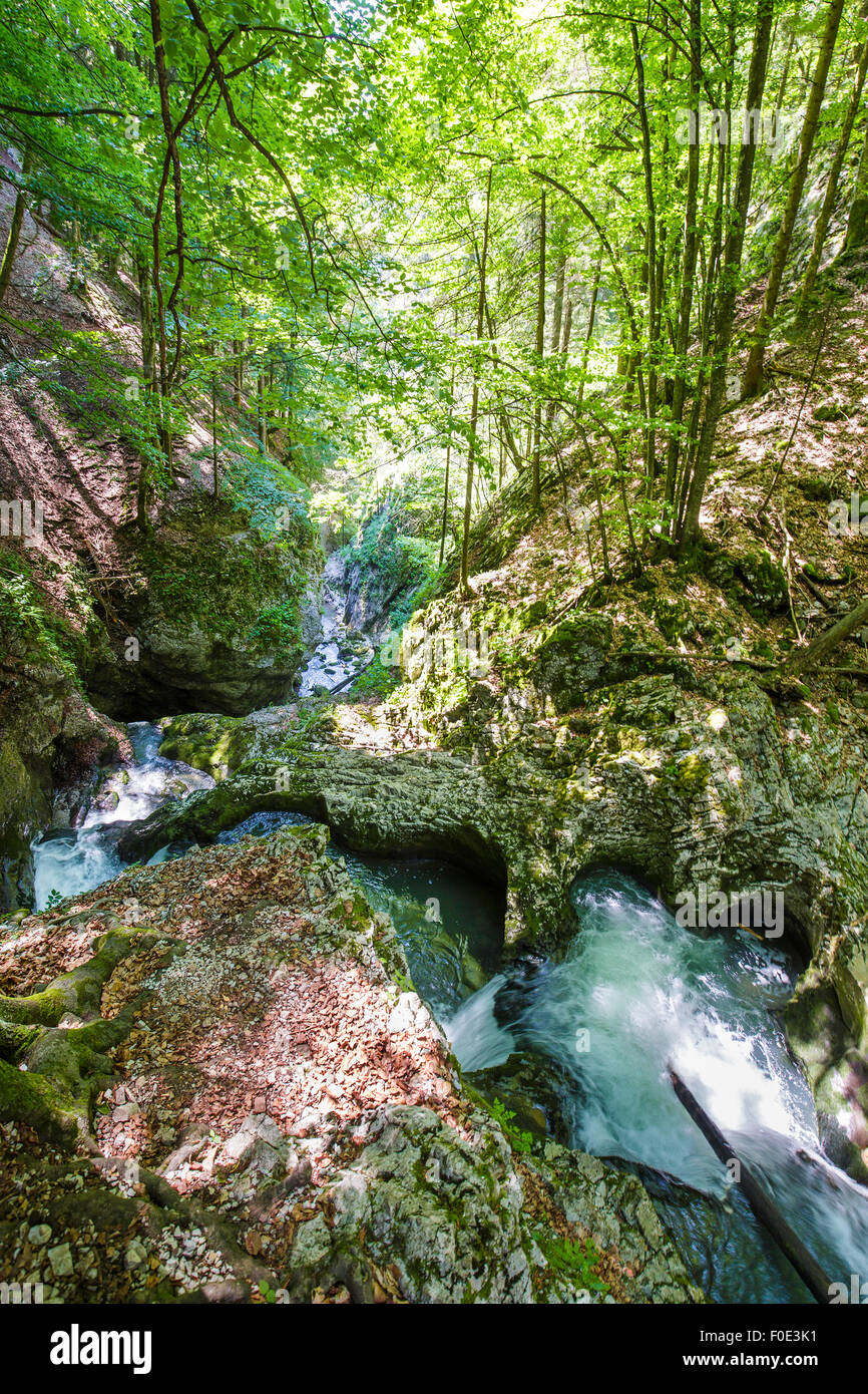 Galbena rivière dans un canyon de montagnes Apuseni, Roumanie Banque D'Images