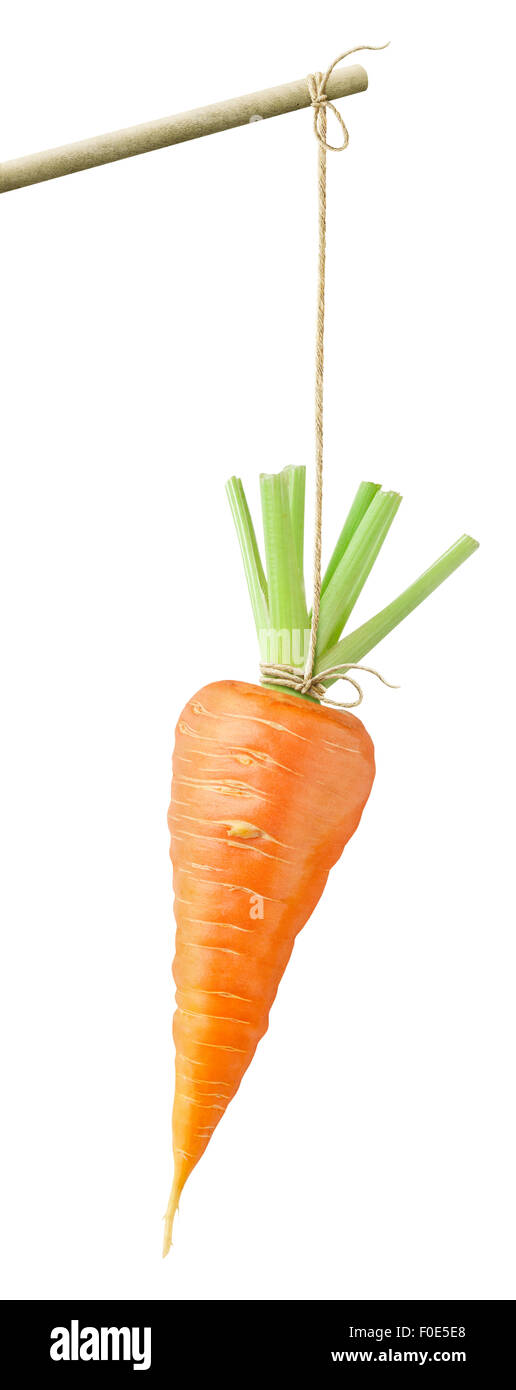 La carotte se balançant sur une chaîne isolated on white Banque D'Images