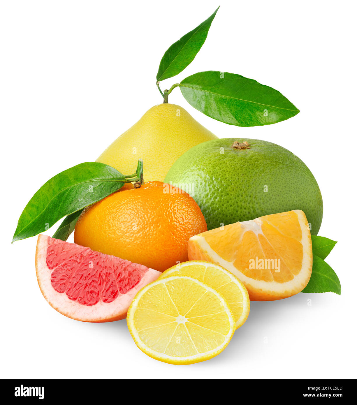 Beaux agrumes isolated on white Banque D'Images