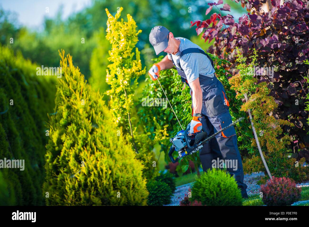 Démarrer le Taille-haie à essence par des professionnels de jardinier. Travaux de jardin. Couverture de fraisage. Banque D'Images