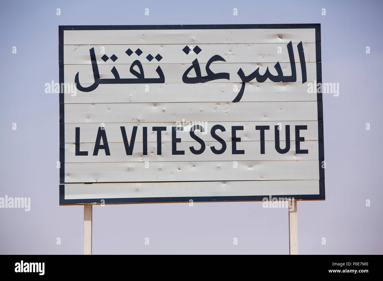 La vitesse tue Traffic signal routier écrit en français et en arabe sur fond bleu Banque D'Images