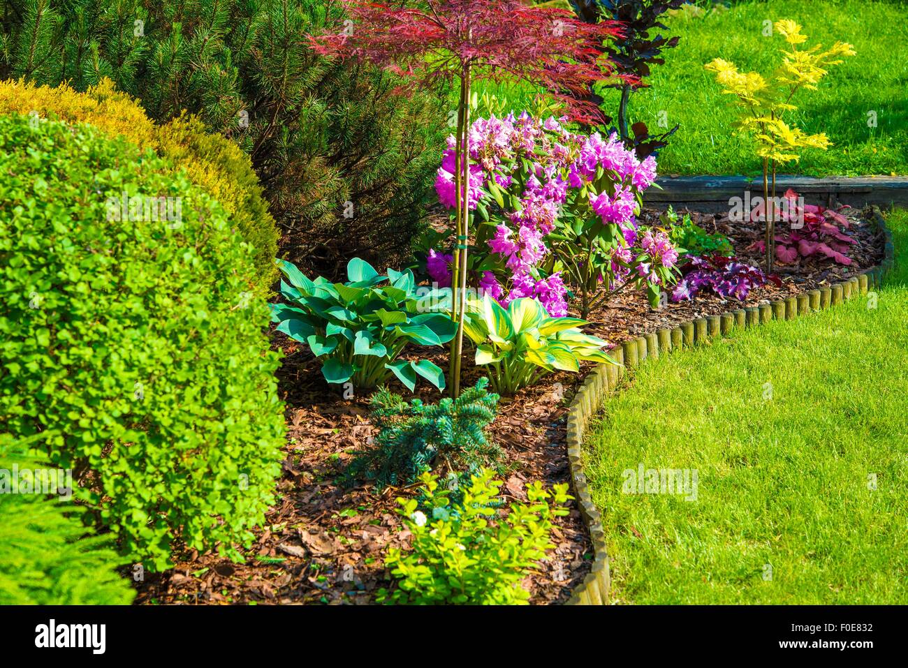 Gros plan jardin de rocaille. Petite cour avec jardin de rocaille Fleurs Fleurs Banque D'Images