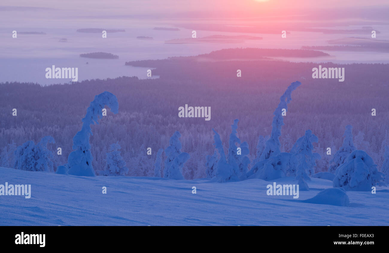 Vue sur les arbres couverts de neige, avec la diminution de la couverture de neige à mesure que l'altitude diminue à un lac gelé recouvert de neige au loin, au lever du soleil, le Parc National de Riisitunturi, Finlande, Février 2009 Banque D'Images