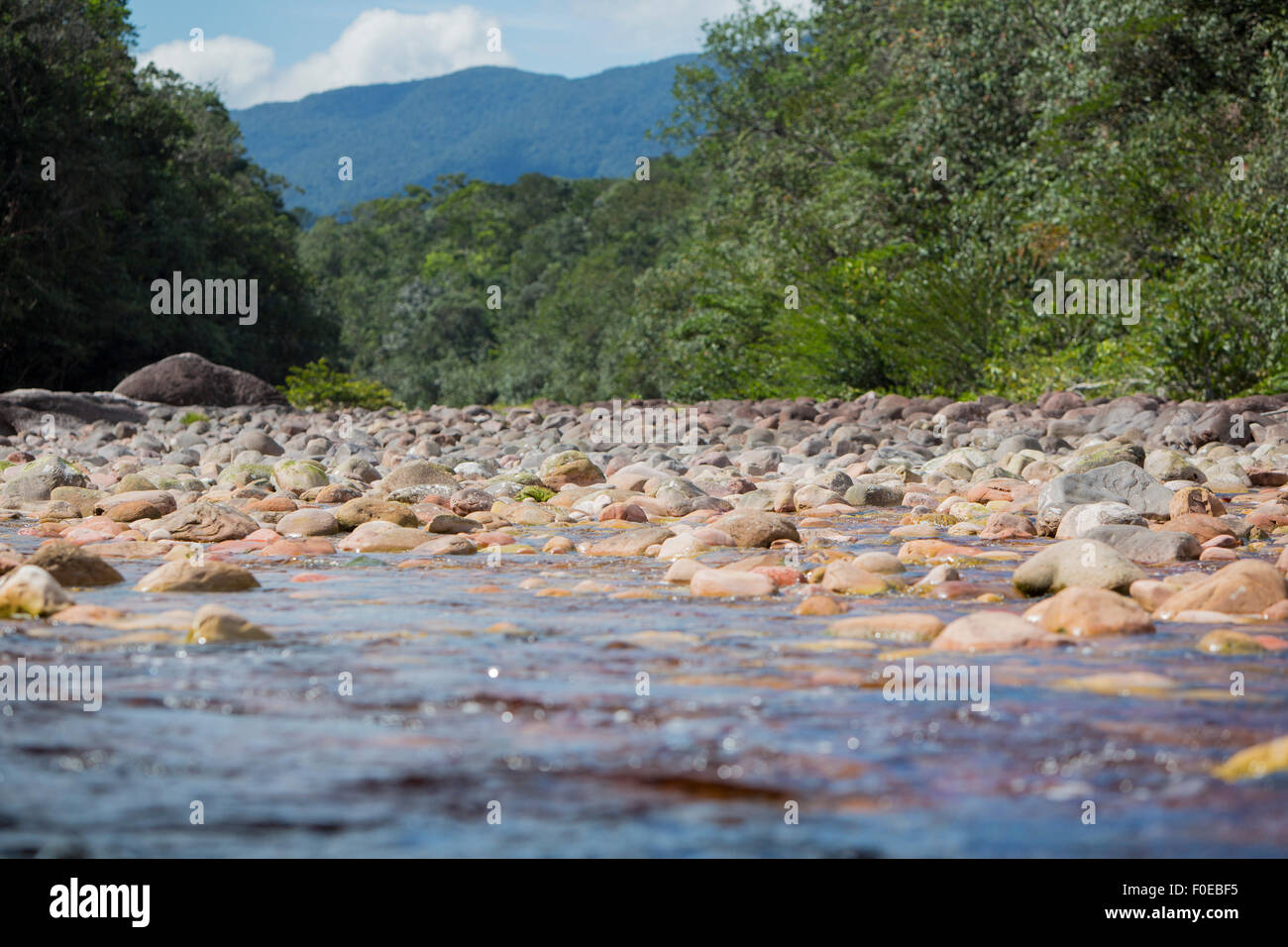 Les pierres de couleur dans la rivière Gauja dans le Parc national Canaima au Venezuela. Banque D'Images