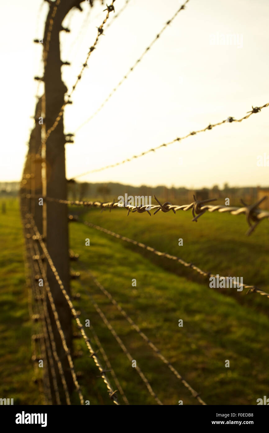 Clôture en fil barbelé à Auschwitz II-Birkenau Camp de concentration en Pologne, près de Cracovie. Banque D'Images