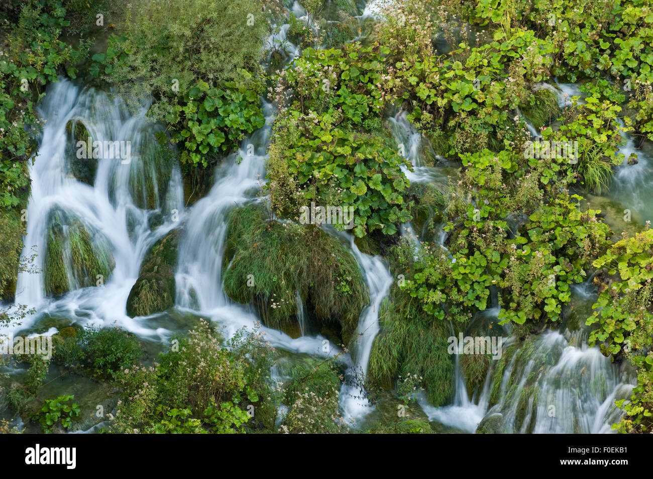 Velike kaskade à partir de ci-dessus, les lacs, le parc national des Lacs de Plitvice, Croatie, octobre 2008 Banque D'Images