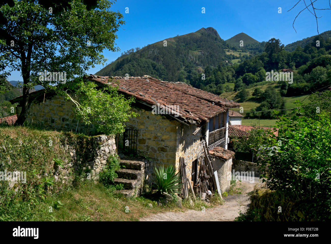 Les bâtiments traditionnels de village rural de Espinaredo,Asturies,le nord de l'Espagne Banque D'Images