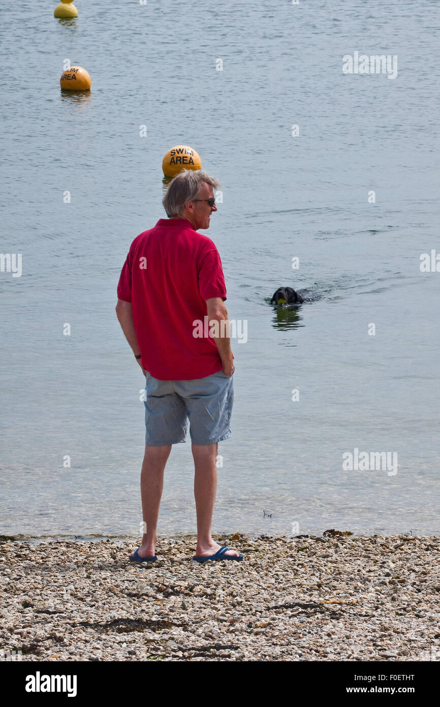 Plaisirs simples - un homme et son chien bénéficiant de la mer, sur une plage de Cornouailles Banque D'Images