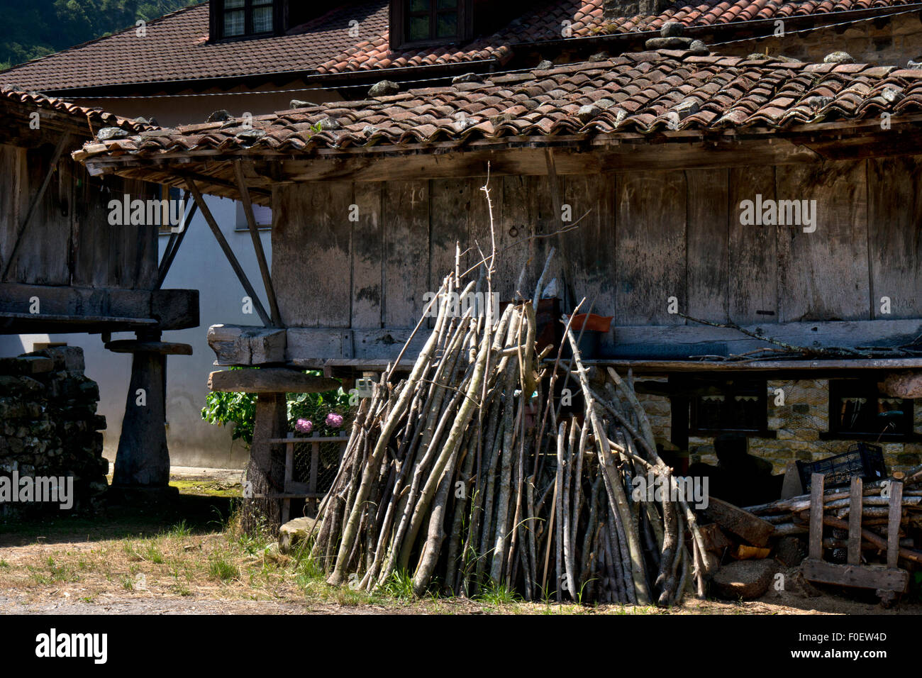Bâtiment traditionnel de village rural avec pile de bois dans les Asturies,Grenier (horreo) du nord de l'Espagne Banque D'Images