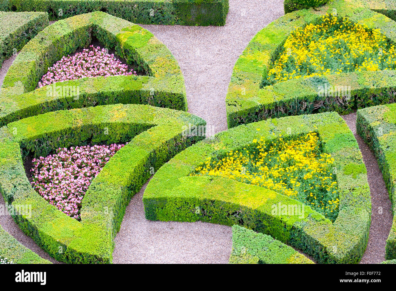 Jardin avec de nombreux types différents de buis Banque D'Images