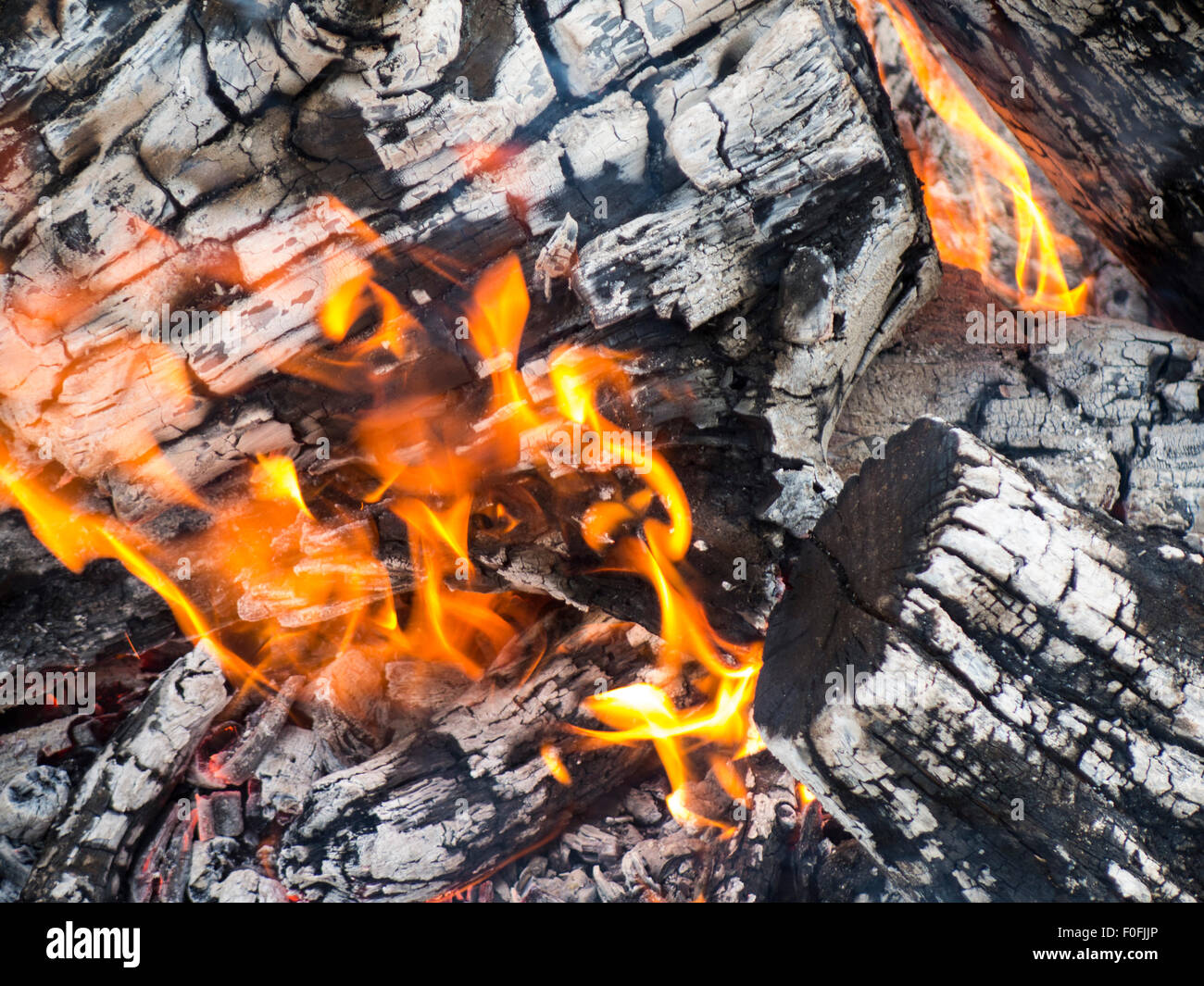 Gros plan de feu de bois Banque D'Images