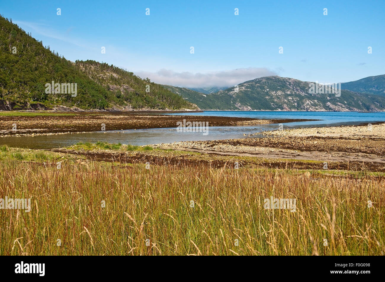 Paysage norvégien. Paysage pittoresque de Bindal dans Nordland, Norvège sur une journée ensoleillée. Banque D'Images