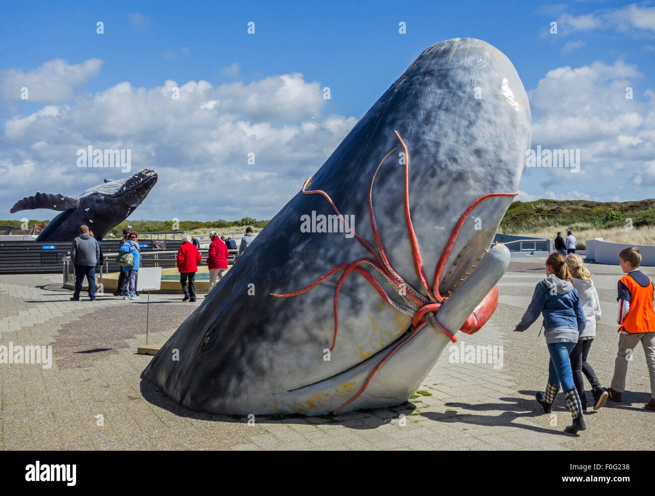 Sculpture de cachalot à squid manger Ecomare, seal sanctuary et le centre de la nature et de la vie marine sur Texel, Pays-Bas Banque D'Images