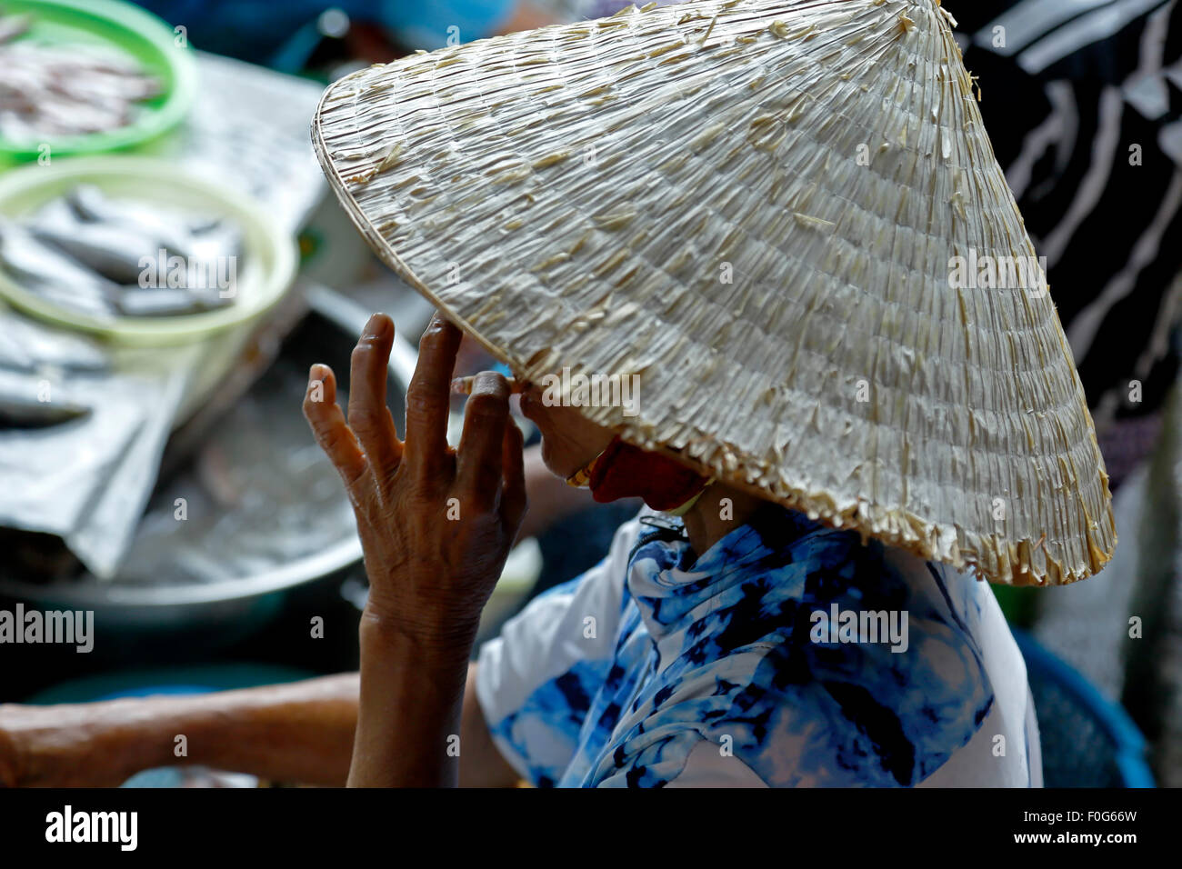 Femme avec chapeau de paille de riz Riz fumeurs, étals de poissons, Marché  Central, Hoi An, Vietnam Photo Stock - Alamy