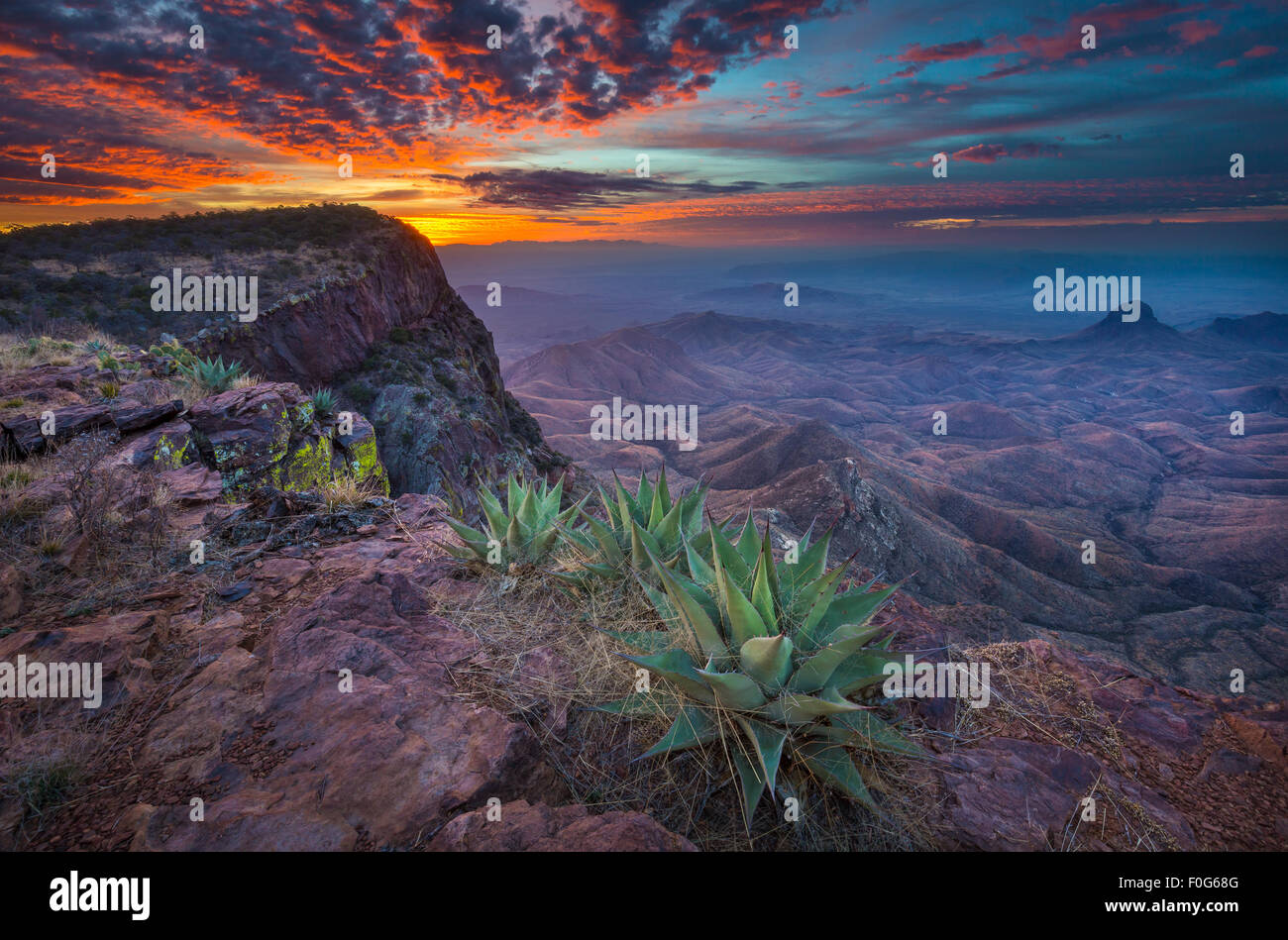 Le Parc National Big Bend au Texas est la plus grande zone protégée du Désert de Chihuahuan aux États-Unis. Banque D'Images