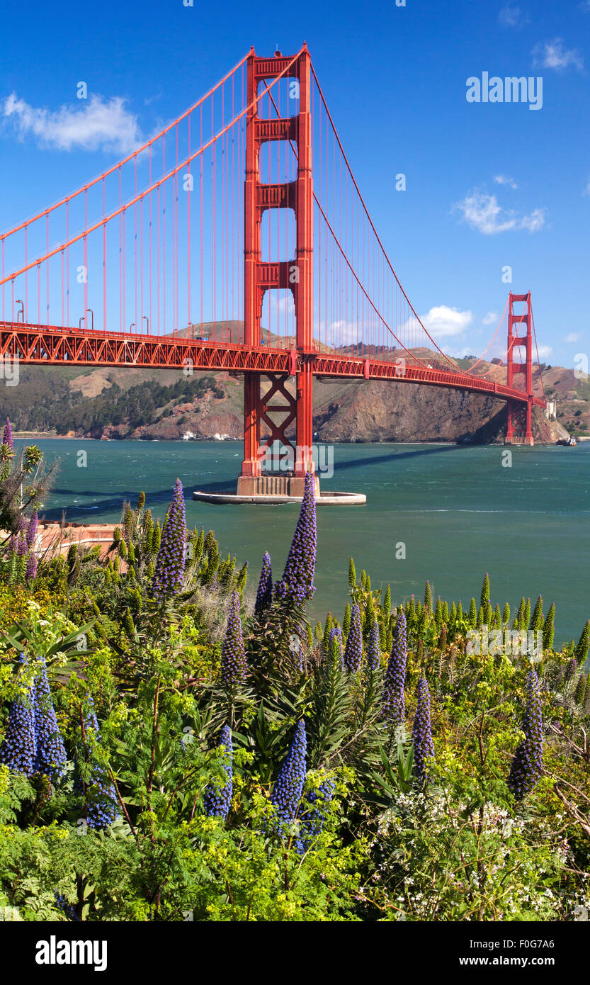 Le Golden Gate Bridge, San Francisco, États-Unis Banque D'Images