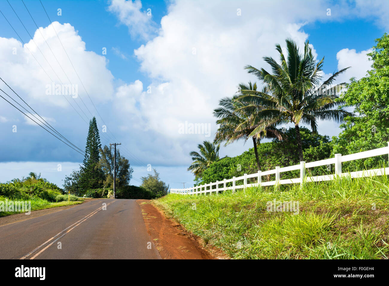 Une route de l'arrière-pays dans une partie reculée de Kauai, Hawaï avec belle herbe verte et une clôture blanche bordant la chaussée. Banque D'Images