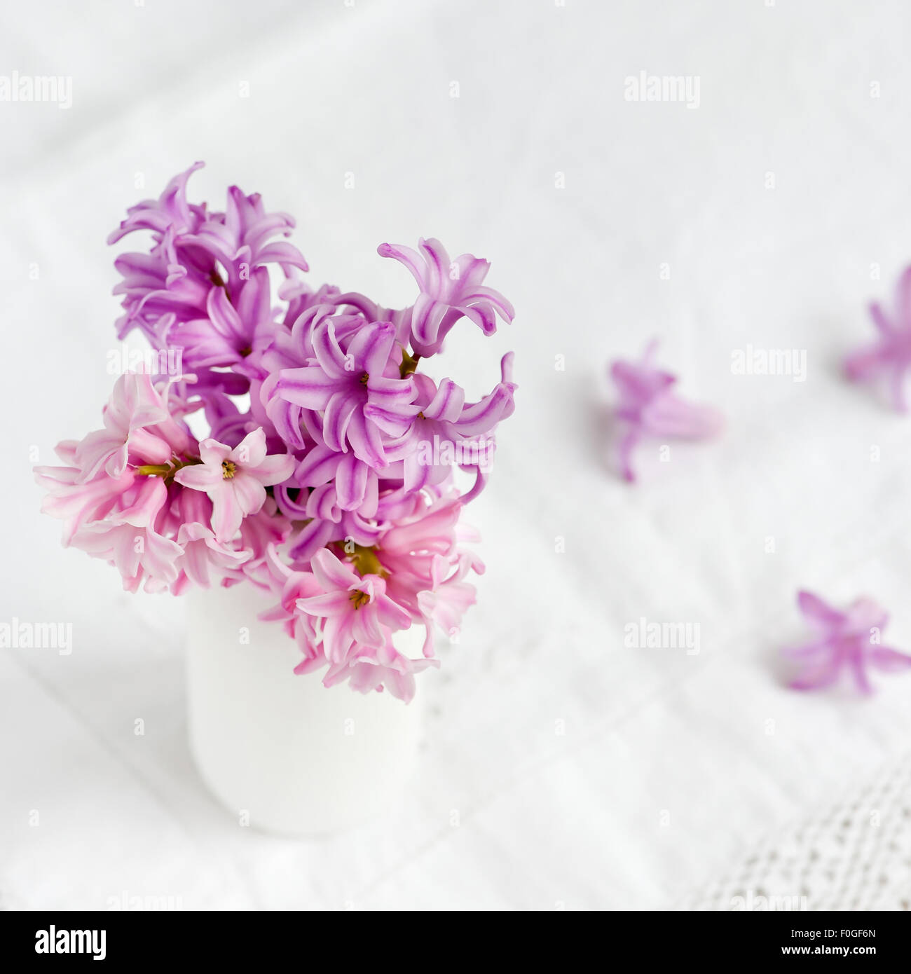 Jacinthes roses blanc en bouteille de lait Banque D'Images