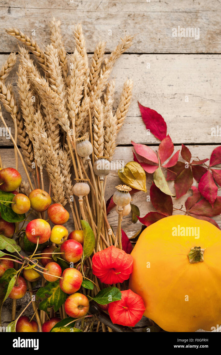Les rassemblements de l'automne les épis de blé, pommettes, lampions, pavot seedheads, feuilles de vigne Banque D'Images
