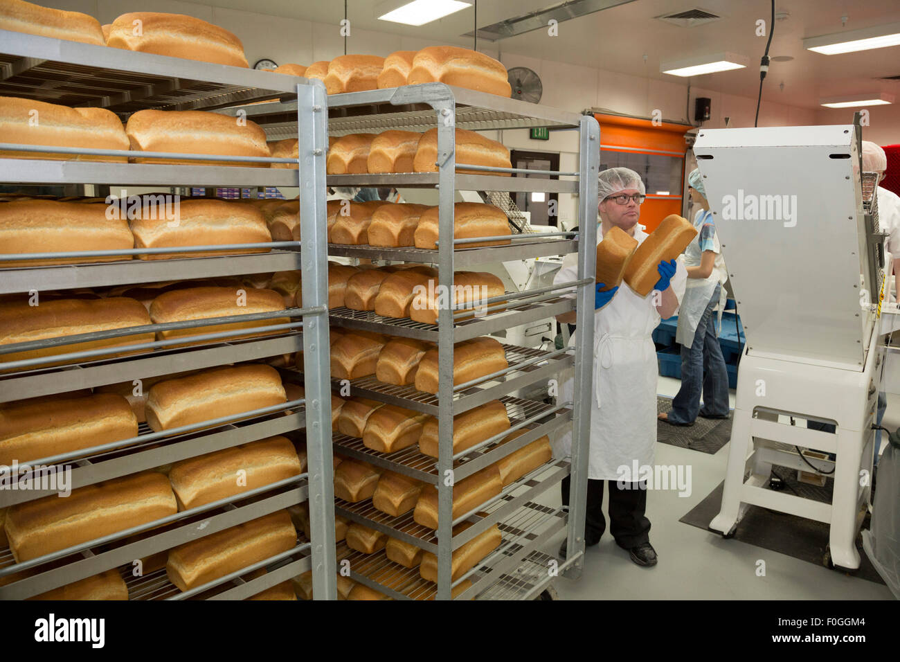 Salt Lake City, Utah - Un bénévole se charge de miches de pain dans une machine à trancher à l'Église mormone Bien-être du complexe carré. Banque D'Images
