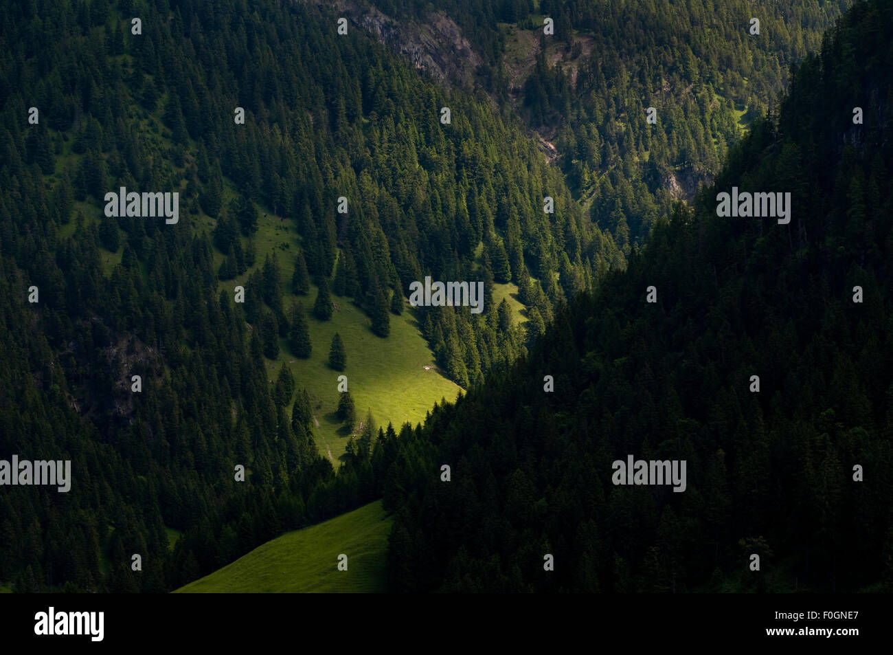 Vue de la vallée, près de Steg, Liechtenstein, Juin 2009 Banque D'Images