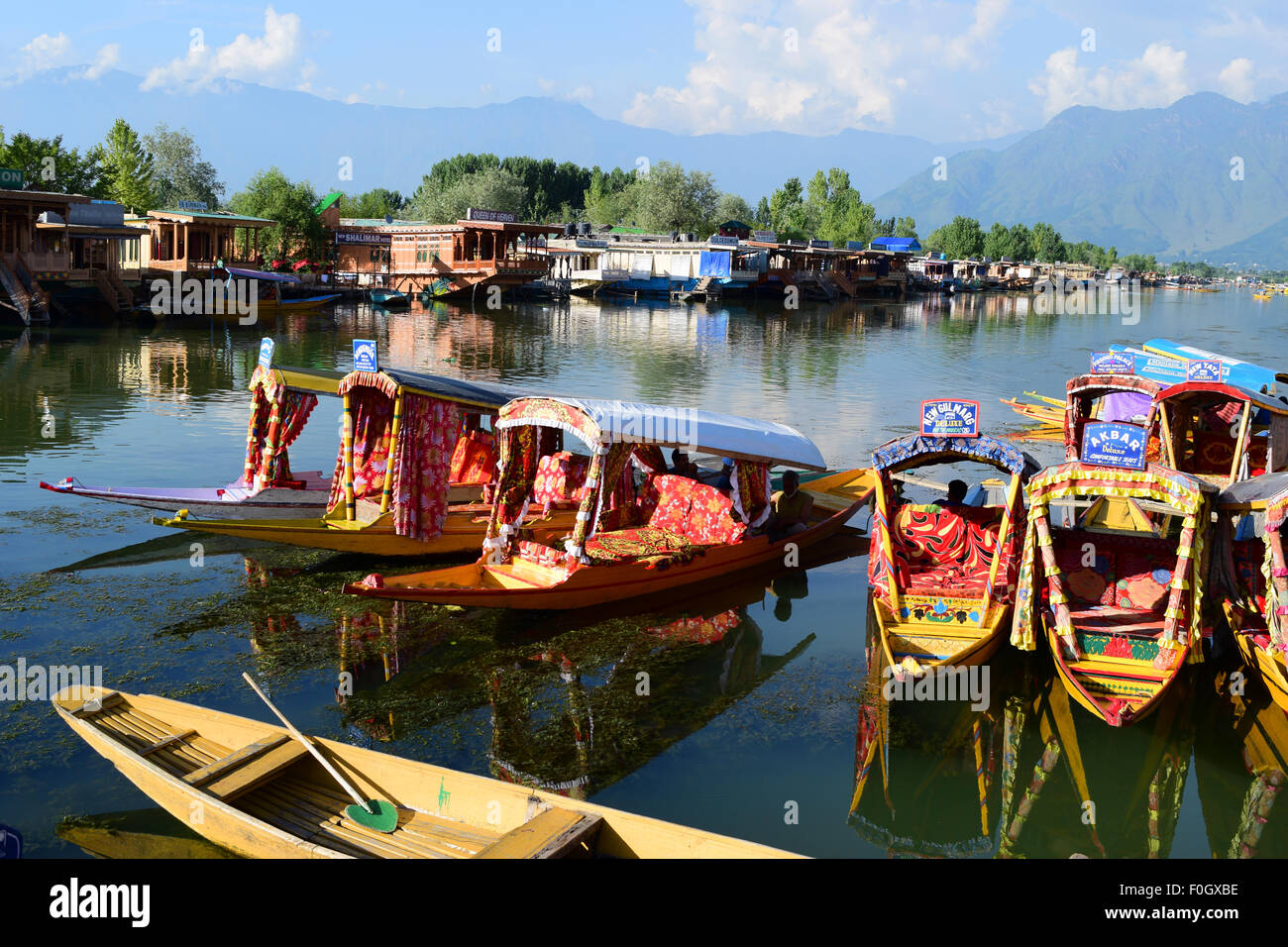 Beau Cachemire lac Dal Bateaux Shikara Srinagar, Jammu-et-Cachemire en Inde Banque D'Images