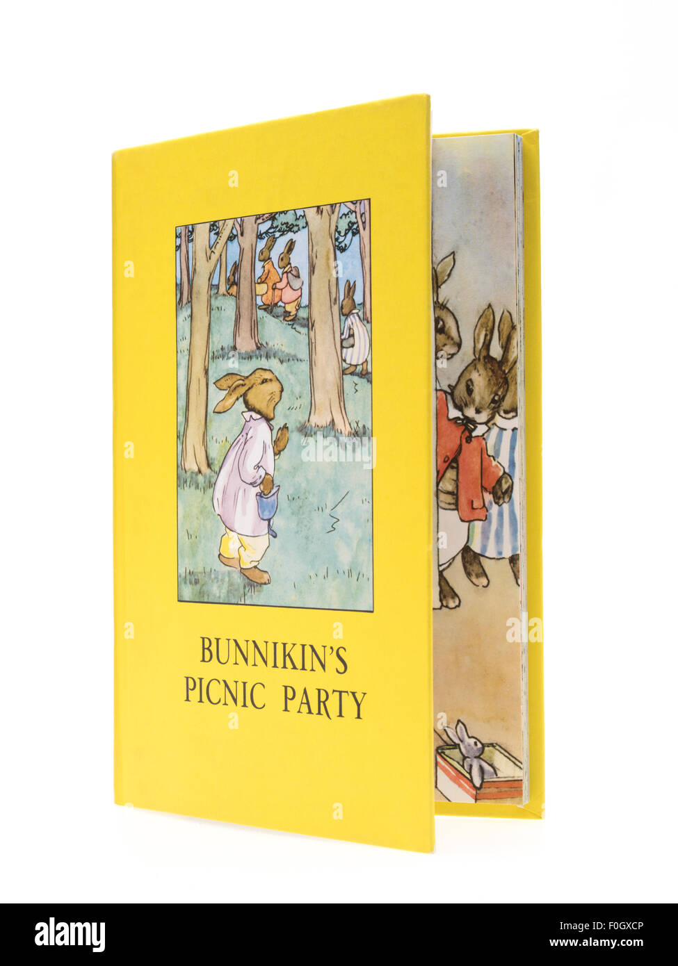 Livre coccinelle # 1 - Bunnikin's Picnic Party Banque D'Images