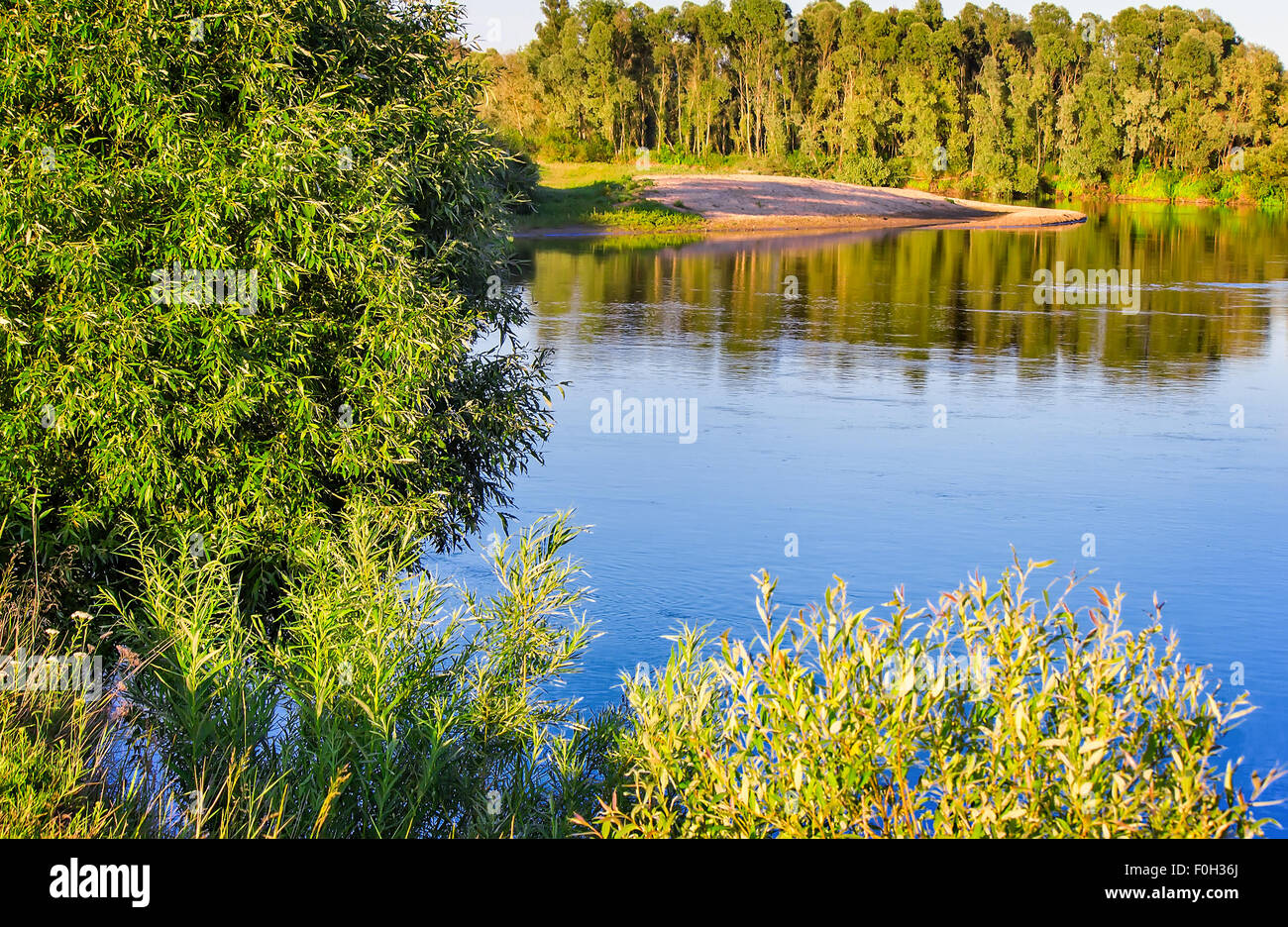 Le paysage est calme de la rivière, qui reflète les buissons et les