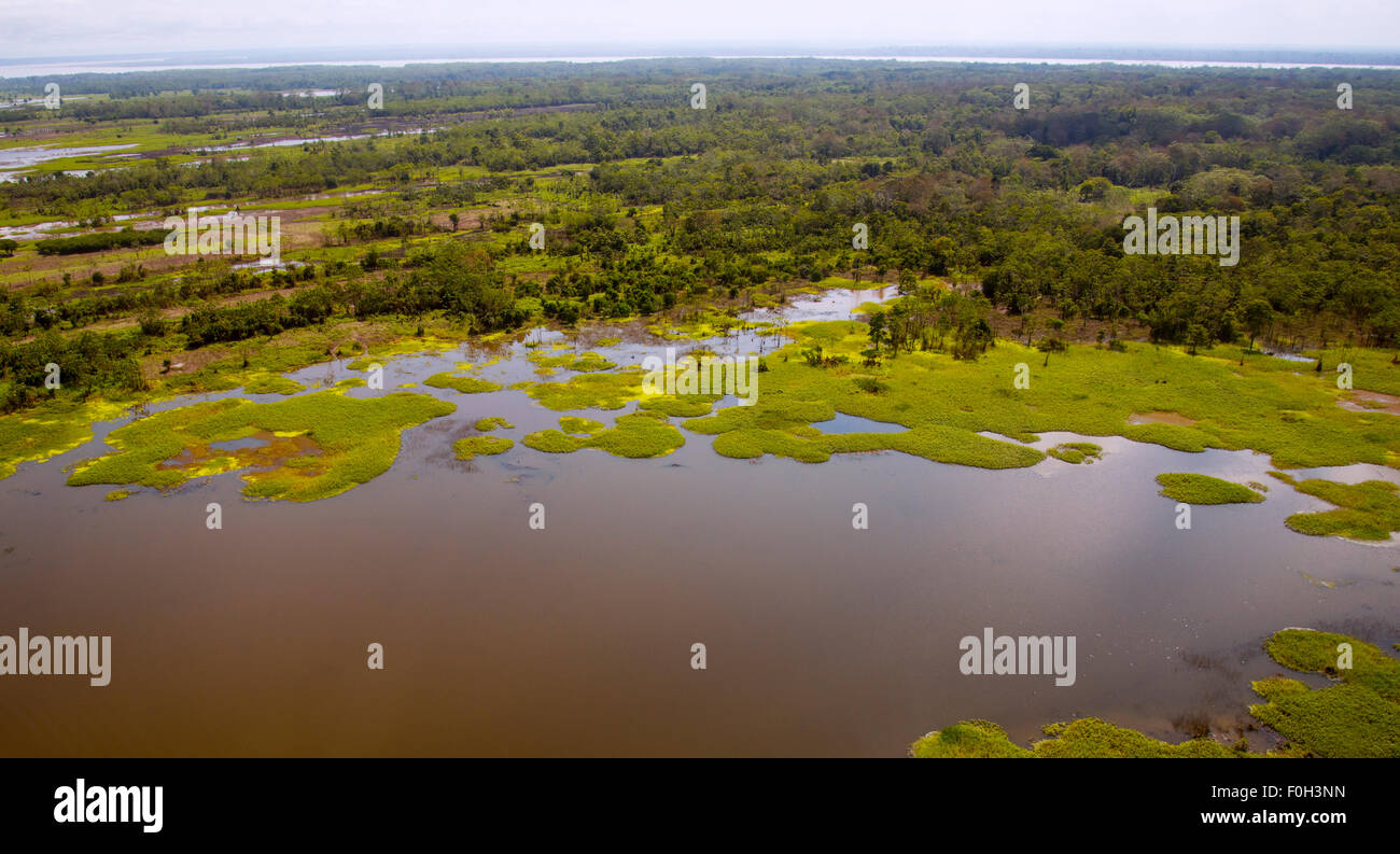 Floodplane Amazon River lac près de l'antenne d'Iquitos Banque D'Images Floodplane Amazon River lac près de l'antenne d'Iquitos Banque D'Images